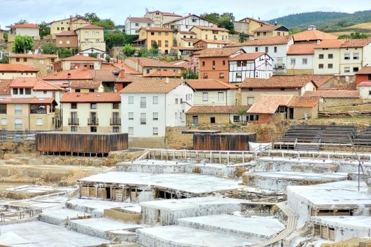 13 JUNIO 2026 - VALLE SALADO DE AÑANA + VITORIA   61€!!