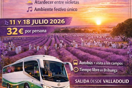 🪻 FIESTA DE LA LAVANDA BRIHUEGA 11 Y 18 JULIO 2026 🪻