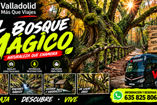 🌳18 OCTUBRE EL BOSQUE MAGICO FAEDO CIÑERA + LEÓN🌳 COMIDA INCLUIDA 55€