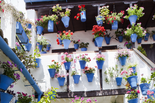 💃🏽22 A 25 MAYO  FERIA DE CÓRDOBA Y SEVILLA (PATIOS CORDOBESES)💃🏽